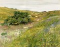 Paysage Shinnecock Hills impressionnisme William Merritt Chase
